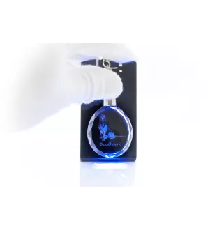 Chien de Saint Hubert, Bloodhound - pendentif avec une photo de chien, porte-clés en cristal dans une boîte cadeau, un cadeau unique par Art-Dog