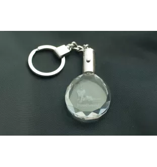 Bloodhound, St. Hubert Hound, Sleuth-hound - pendant with a photo of a dog, crystal key ring in a gift box, a unique gift by Art-Dog