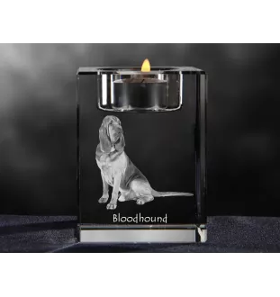 Bluthund, Bloodhound, Chien de St Hubert - Kerzenhalter mit Hundefoto, Teelichthalter aus Kristall, personalisiertes Geschenk der Marke Art-Dog