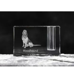 Chien de Saint Hubert, Bloodhound - Porte-stylos, organiseur en cristal avec photo de chien, décoration de bureau unique par la marque Art-Dog