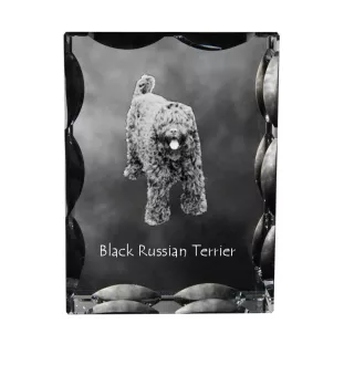 Russischer Schwarzer Terrier, Russkiy Tchiorny Terrier - Kristall mit einem Hundebild, Glasstatuette mit einem Bild, einzigartiger Bilderrahmen der Marke Art-Dog