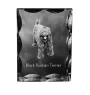 Black Russian Terrier, Chornyi Terrier - crystal with a picture of a dog, glass statuette with a picture, unique frame with a picture from Art-Dog brand