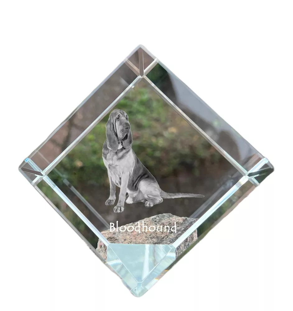 Bloodhound kostka kryształowa z psem Art-Dog