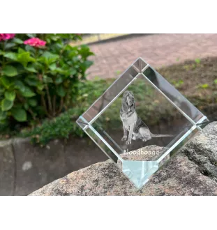 Bloodhound, St. Hubert Hound, Sleuth-hound - crystal cube with a photo, photo of a horse in crystal, cubic paperweight from Art-Dog brand