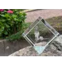 Bloodhound, St. Hubert Hound, Sleuth-hound - crystal cube with a photo, photo of a horse in crystal, cubic paperweight from Art-Dog brand