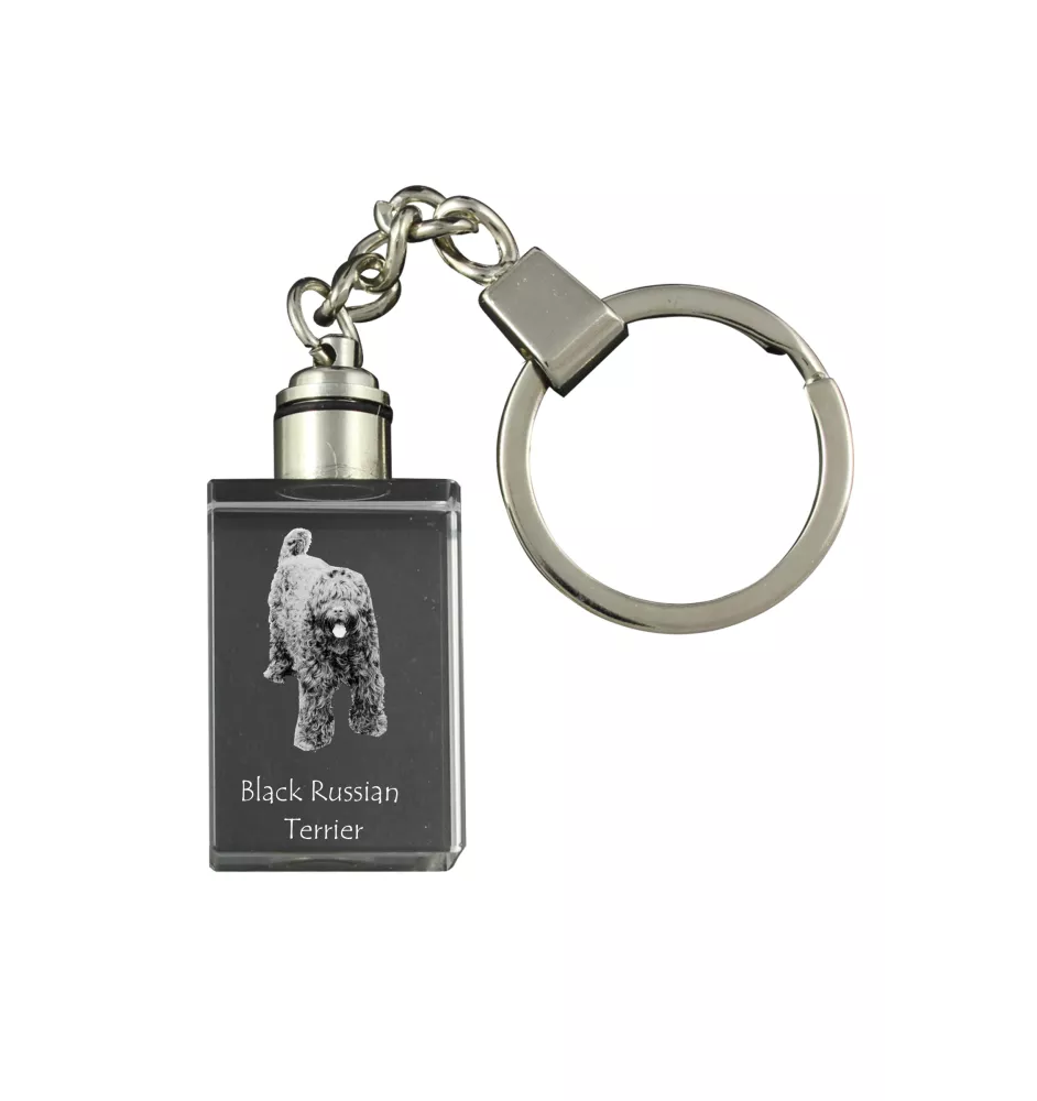 Black Russian Terrier, Chornyi Terrier - Crystal key ring with dog photo, illuminated key ring, unique gift by Art-Dog brand