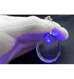 Terrier noir russe - pendentif avec une photo de chien, porte-clés en cristal dans une boîte cadeau, un cadeau unique par Art-Dog