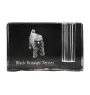 Terrier noir russe - Porte-stylos, organiseur en cristal avec photo de chien, décoration de bureau unique par la marque Art-Dog