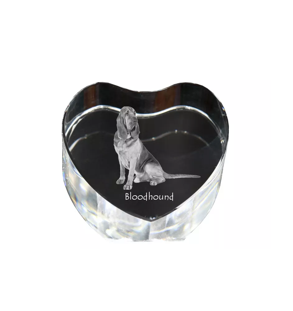 Bloodhound, St. Hubert Hound, Sleuth-hound - a photo of a dog in crystal, crystal heart, unique photo frame from the Art-Dog brand
