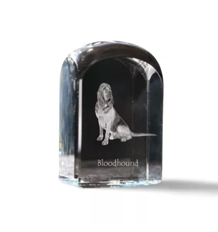 Bluthund, Bloodhound, Chien de St Hubert - Kristallwürfel mit Bild, Hundebild im Kristall, sechseckiger Papierclip von Art-Dog.