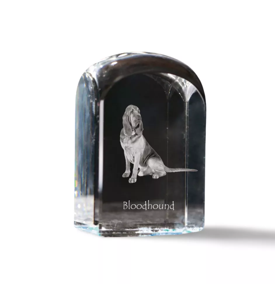 Bloodhound kryształ pieczątka pięczątka z psem Art-Dog