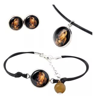 Chien de Saint Hubert, Bloodhound - ensemble de bijoux dans une boîte, collier, boucles d'oreilles, bracelet, produits de la marque Art-Dog