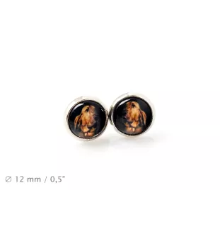 Bluthund, Bloodhound, Chien de St Hubert - Ohrringe in einer Schachtel, Ihr Foto, handgefertigter Schmuck, Eigenmarke von Art-Dog.