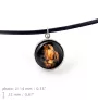 Chien de Saint Hubert, Bloodhound - collier dans une boîte, élégant bijou, pendentif de la marque Art-Dog