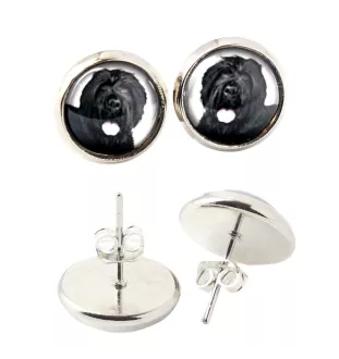 Russischer Schwarzer Terrier, Russkiy Tchiorny Terrier - Ohrringe in einer Schachtel, Ihr Foto, handgefertigter Schmuck, Eigenmarke von Art-Dog.