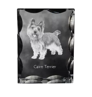 Cairn Terrier ramka kryształowa z psem Art-Dog