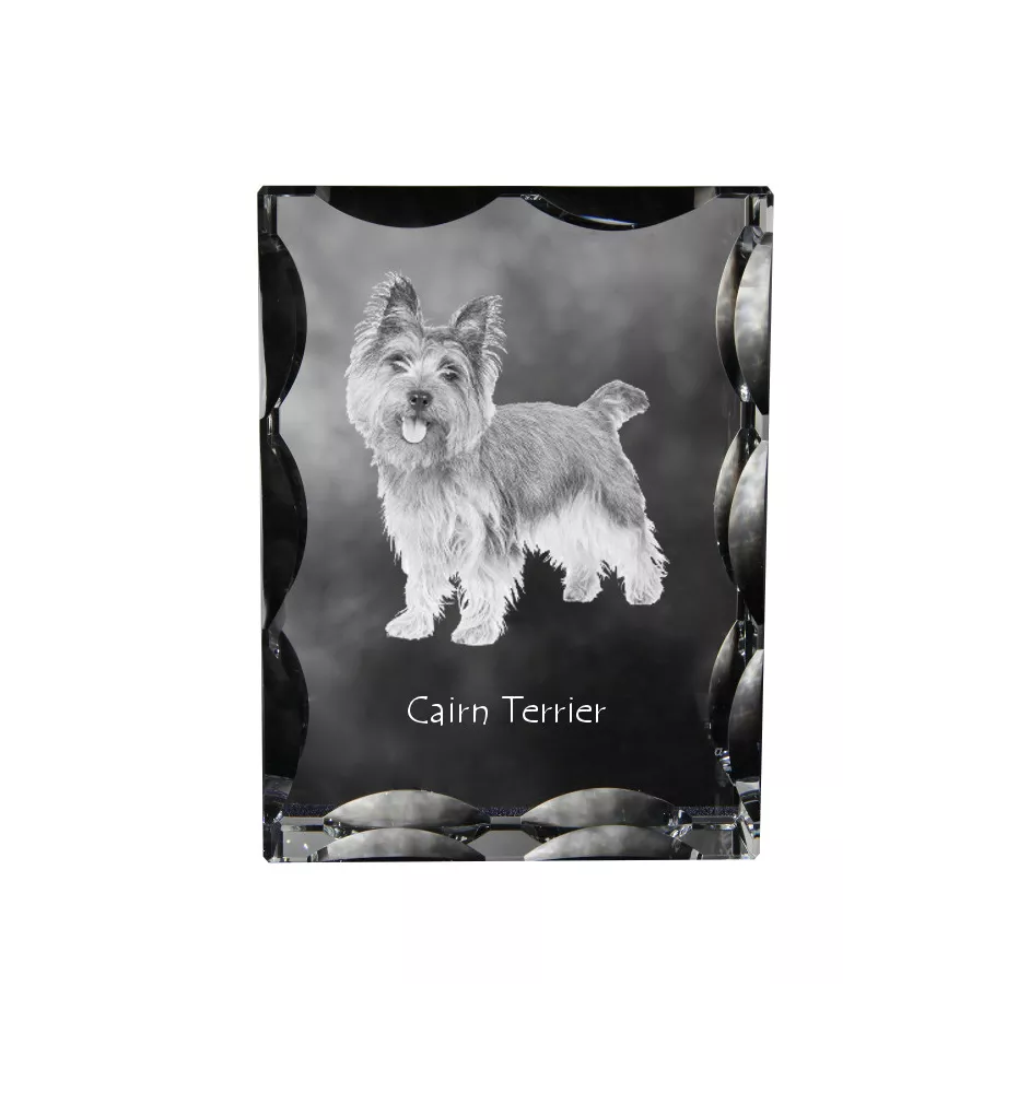 Cairn Terrier ramka kryształowa z psem Art-Dog