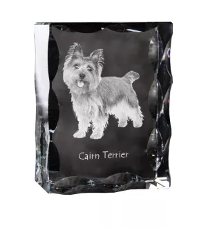 Cairn Terrier - Kristall mit einem Hundebild, Glasstatuette mit einem Bild, einzigartiger Bilderrahmen der Marke Art-Dog