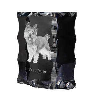 Cairn Terrier - crystal with a picture of a dog, glass statuette with a picture, unique frame with a picture from Art-Dog brand