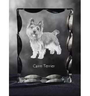 Cairn Terrier - cristal avec photo de chien, statuette en verre avec photo, cadre exceptionnel avec photo de la marque Art-Dog