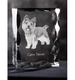 Cairn Terrier - cristal avec photo de chien, statuette en verre avec photo, cadre exceptionnel avec photo de la marque Art-Dog