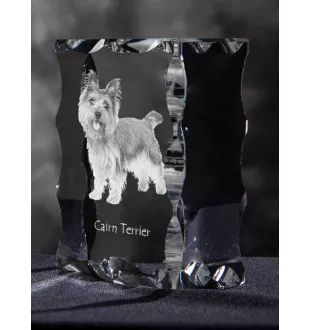 Cairn Terrier - cristal avec photo de chien, statuette en verre avec photo, cadre exceptionnel avec photo de la marque Art-Dog