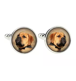 Bullmastiff - cufflinks, a shirt accessory, a shirt pendant from the Art-Dog brand