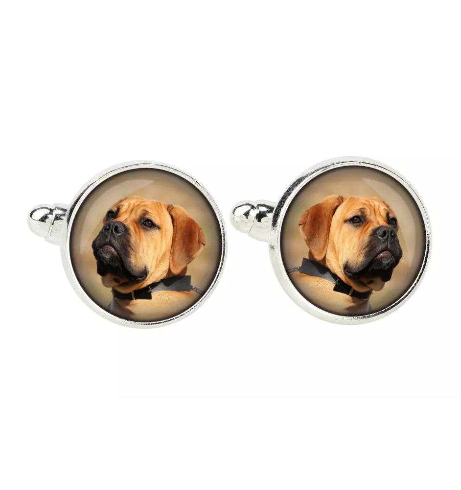Bullmastiff - cufflinks, a shirt accessory, a shirt pendant from the Art-Dog brand