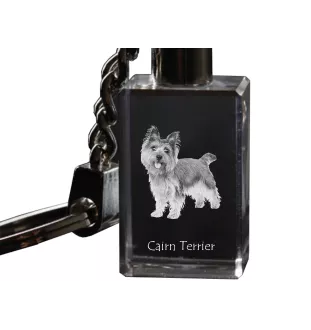 Cairn Terrier - Schlüsselanhänger aus Kristall mit Hundefoto, beleuchteter Schlüsselanhänger, einzigartiges Geschenk der Marke Art-Dog