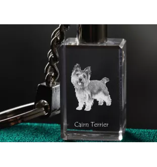 Cairn Terrier - Porte-clés en cristal avec photo de chien, porte-clés lumineux, cadeau unique de la marque Art-Dog
