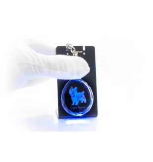 Cairn Terrier - Anhänger mit einem Foto eines Hundes, Schlüsselanhänger aus Kristall in einer Geschenkbox, ein einzigartiges Geschenk von Art-Dog