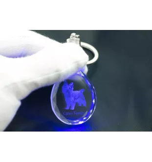 Cairn Terrier - pendentif avec une photo de chien, porte-clés en cristal dans une boîte cadeau, un cadeau unique par Art-Dog