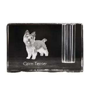 Cairn Terrier - Porte-stylos, organiseur en cristal avec photo de chien, décoration de bureau unique par la marque Art-Dog