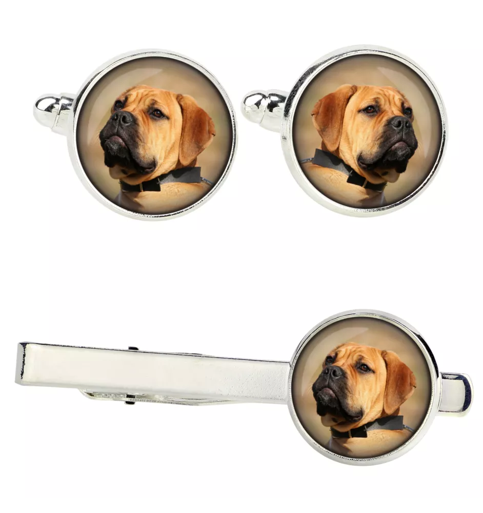 Bullmastiff - cufflinks and tie with your photo, a suit decoration, men's jewelry from the Art-Dog brand.