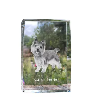 Cairn Terrier - Kristall mit einem Hundebild, Bild im Glas, moderne Ausstellung des Art-Dog-Bildes.