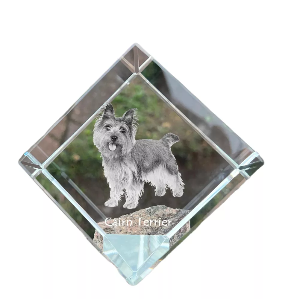 Cairn Terrier - un cube de cristal avec une photo, une photo de cheval dans le cristal, un presse-papiers cubique de la marque Art-Dog