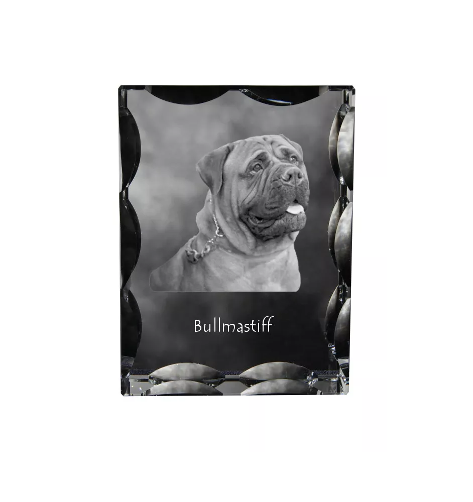 Bullmastiff - Kristall mit einem Hundebild, Glasstatuette mit einem Bild, einzigartiger Bilderrahmen der Marke Art-Dog