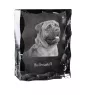 Bullmastiff - crystal with a picture of a dog, glass statuette with a picture, unique frame with a picture from Art-Dog brand