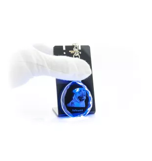 Bullmastiff - pendant with a photo of a dog, crystal key ring in a gift box, a unique gift by Art-Dog
