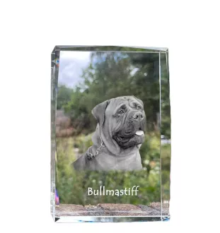 Bullmastiff - cristal avec une photo de chien, photo sous verre, exposition moderne de la marque de photos Art-Dog