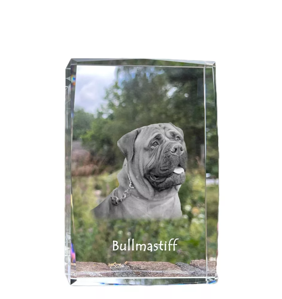 Bullmastiff - cristal avec une photo de chien, photo sous verre, exposition moderne de la marque de photos Art-Dog