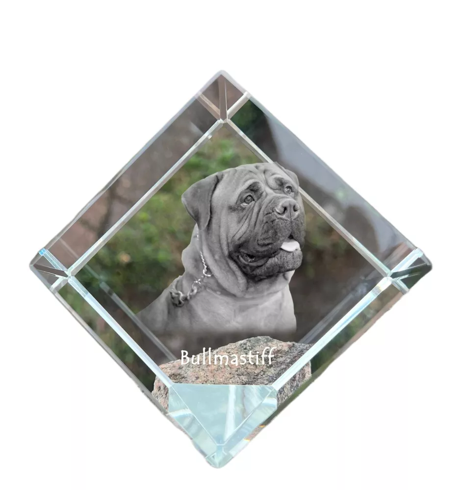 Bullmastiff - Kristallwürfel mit Bild, Pferdebild im Kristall, sechseckiger Papierclip der Marke Art-Dog