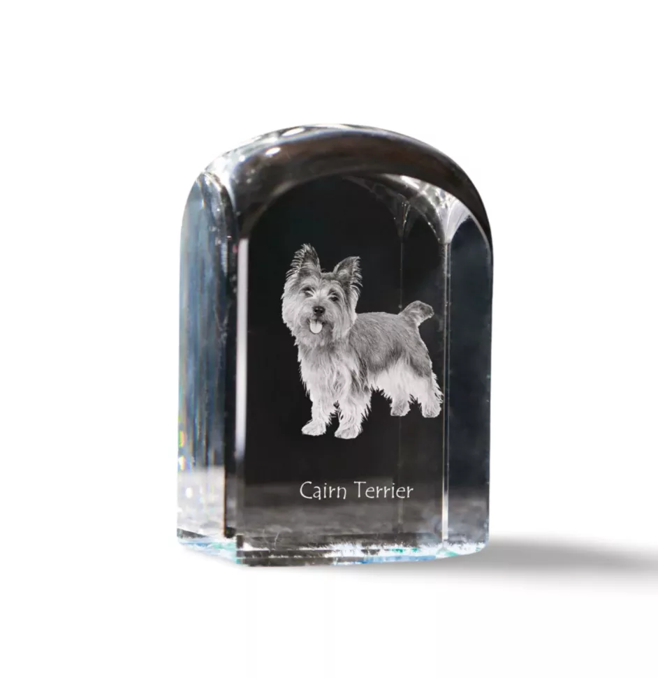 Cairn Terrier - crystal cube with a photo, photo of a dog in crystal, cubic paperweight from Art-Dog brand