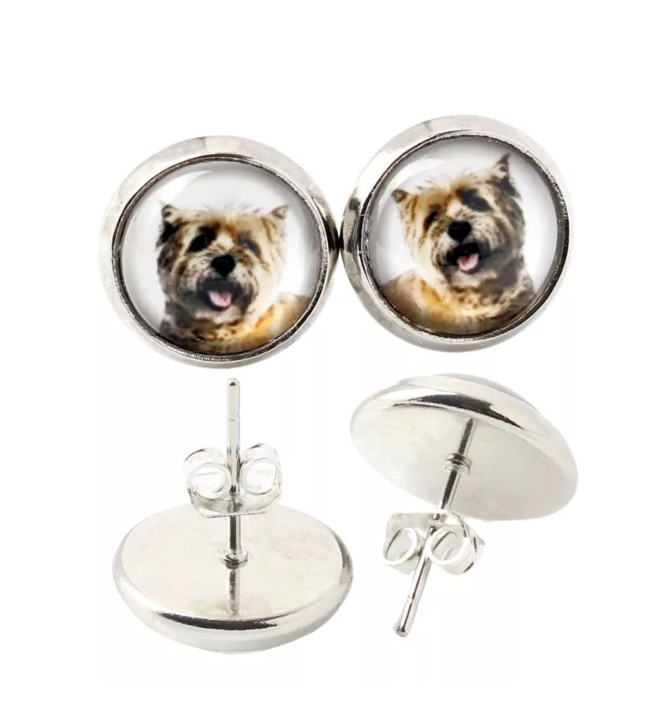 Cairn Terrier - Ohrringe in einer Schachtel, Ihr Foto, handgefertigter Schmuck, Eigenmarke von Art-Dog.