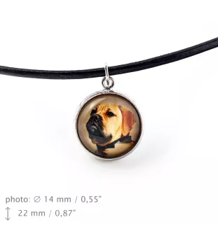 Bullmastiff komplet w pudełku ze zdjęciem Art-Dog