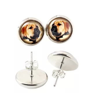 Bullmastiff - boucles d'oreilles dans une boîte, votre photo, bijoux faits à la main, produit de la marque Art-Dog.