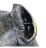 Cane Corso, Chien De Cour Italien - urne pour cendres de chien, buste de chien, grande tête de chien pour le jardin par Art-Dog