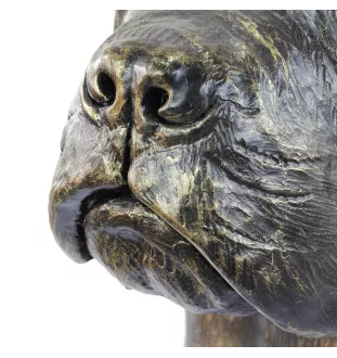 Cane Corso, Italienischer Corso-Hund, Cane di Macellaio - Urne für Hundeasche, Hundebüste, großer Hundekopf für den Garten von Art-Dog