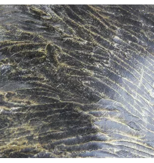 Cane Corso, Italian Cane Corso - urn for dog ashes, dog bust, large dog head for garden by Art-Dog