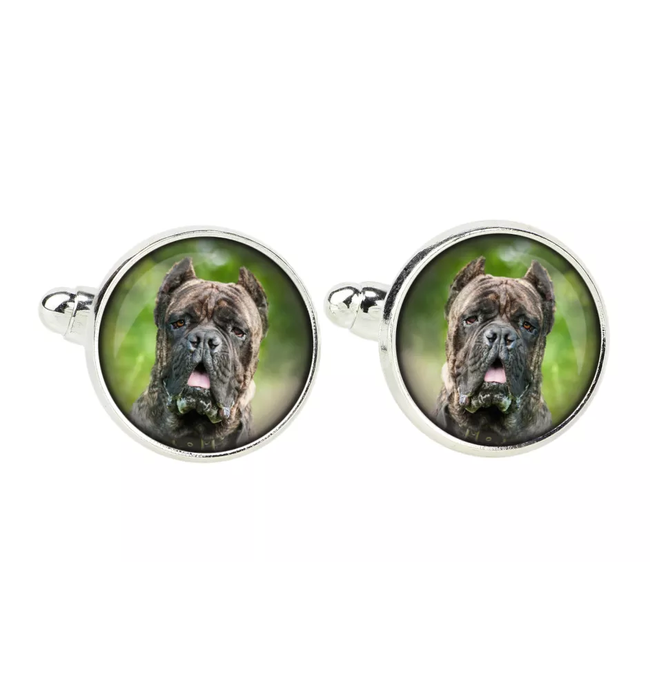 Cane Corso, Italienischer Corso-Hund, Cane di Macellaio - Manschettenknöpfe, Hemdverzierung, Hemdanhänger der Marke Art-Dog